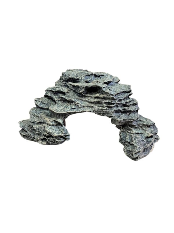 WhatsApp Image 2025-11-03 at 12.29.18.jpeg