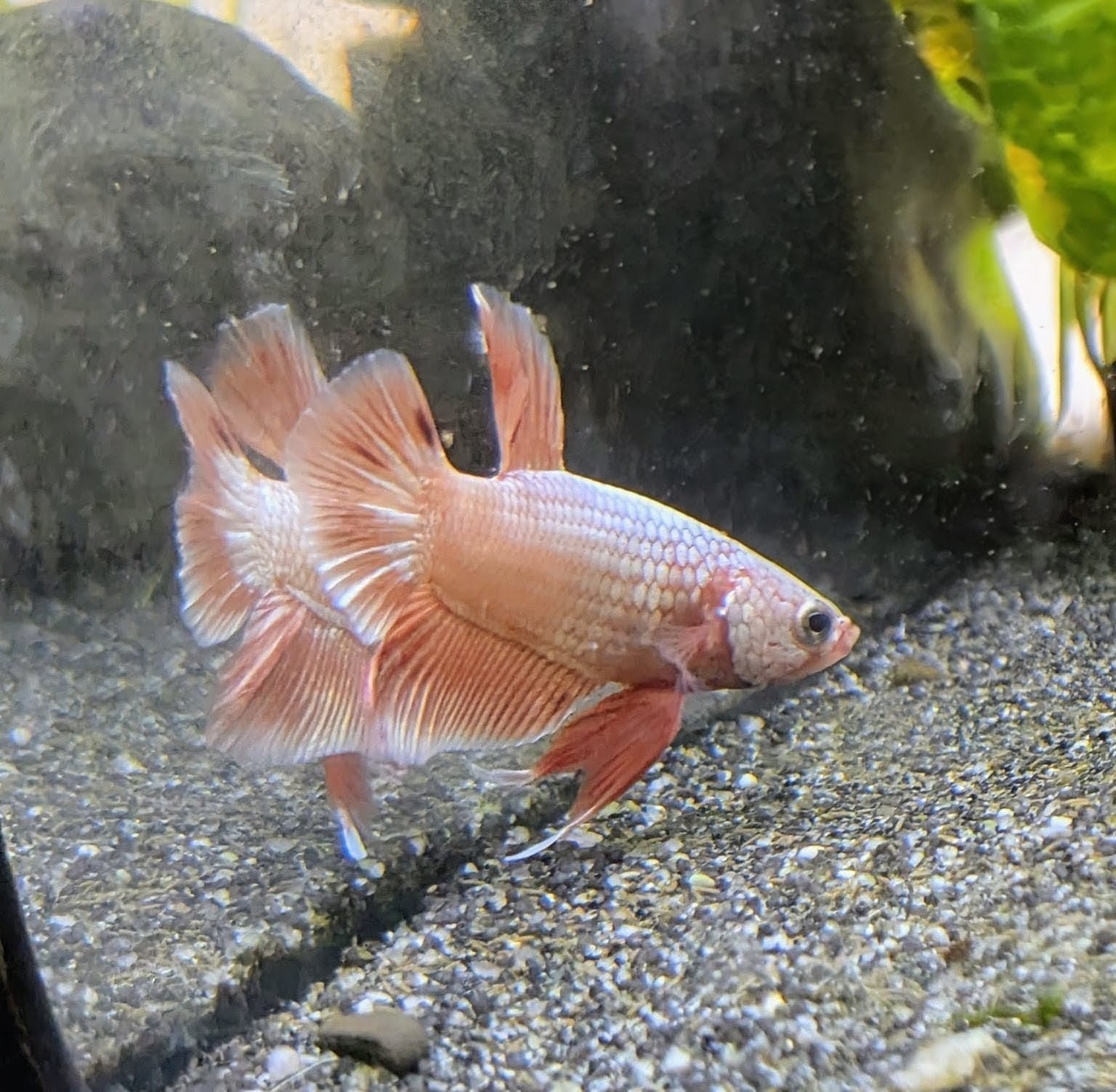 WhatsApp Image 2025-11-28 at 16.44.38.jpeg