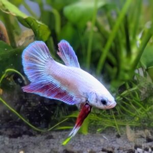 WhatsApp Image 2025-11-28 at 16.44.38(1).jpeg