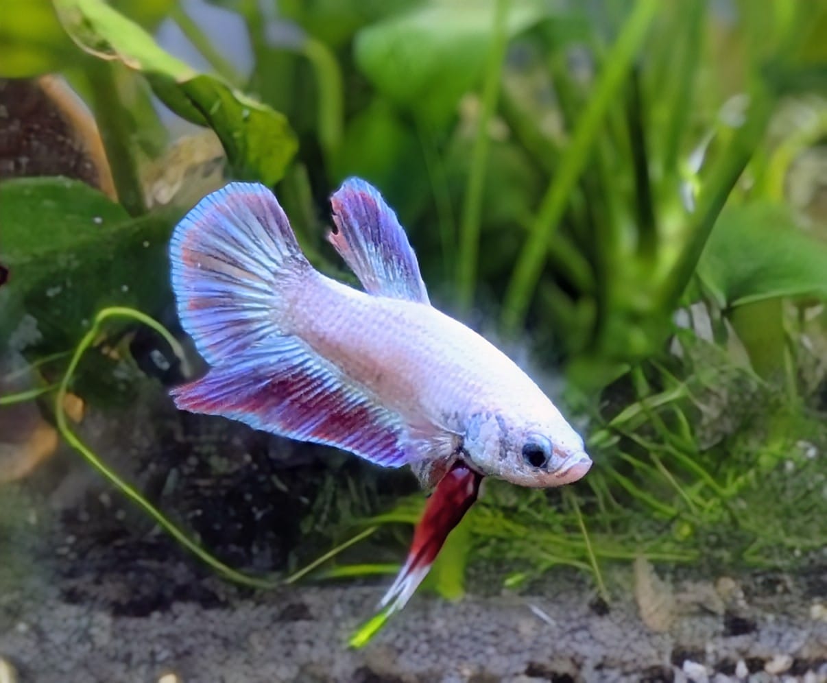 WhatsApp Image 2025-11-28 at 16.44.38(1).jpeg