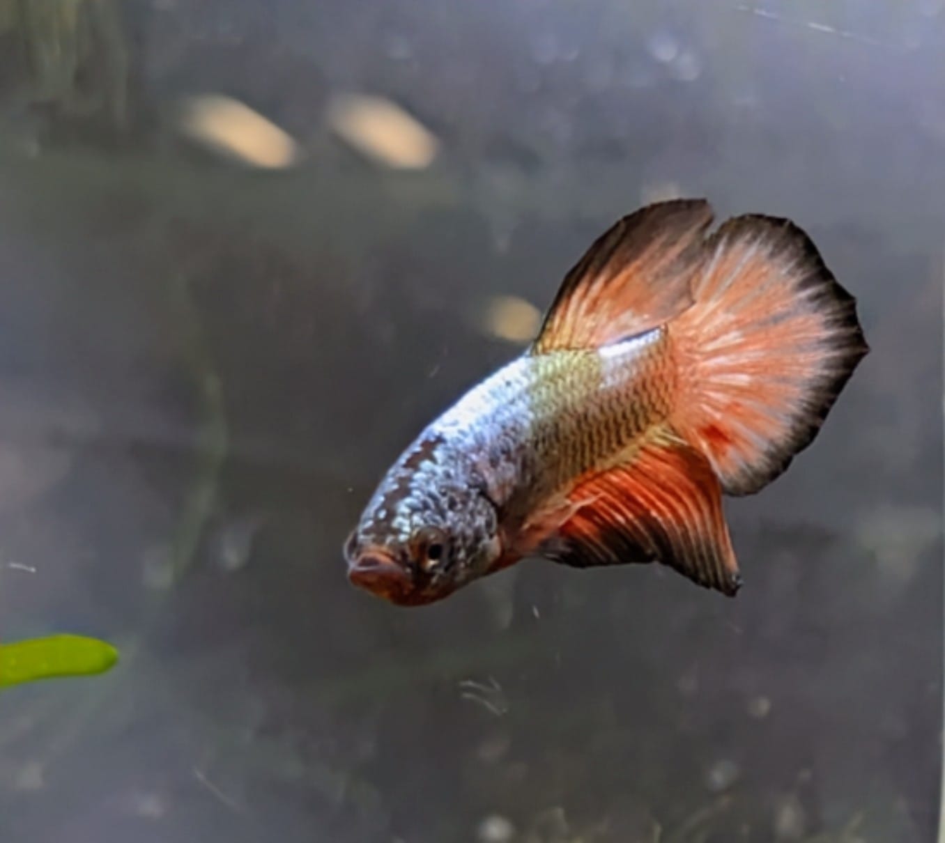 WhatsApp Image 2025-11-28 at 16.44.38(2).jpeg