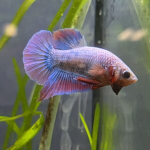 WhatsApp Image 2025-11-28 at 16.44.39.jpeg