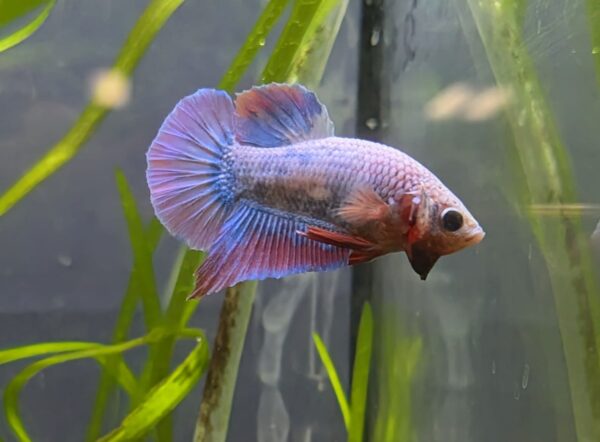 WhatsApp Image 2025-11-28 at 16.44.39.jpeg