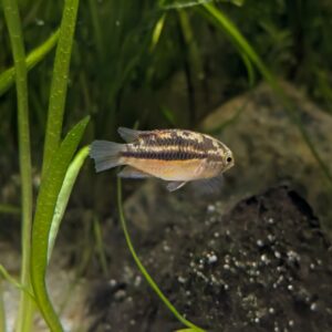 WhatsApp Image 2025-12-01 at 16.26.40.jpeg