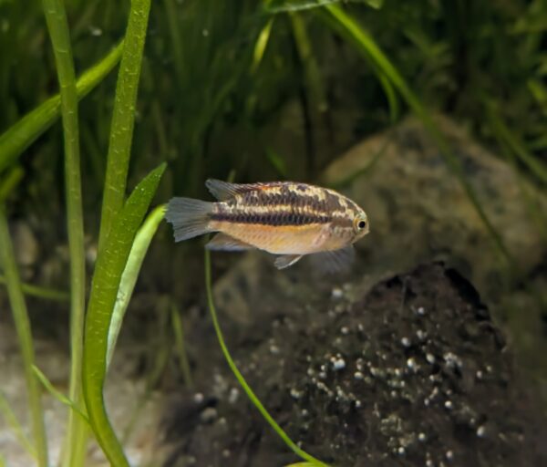 WhatsApp Image 2025-12-01 at 16.26.40.jpeg