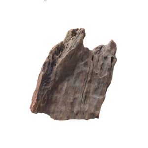 WhatsApp Image 2024-12-10 at 12.01.16.jpeg