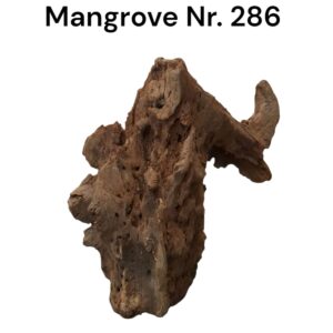 WhatsApp Image 2024-12-11 at 14.40.07.jpeg