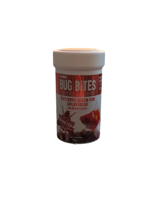 WhatsApp Image 2024-08-05 at 11.33.47.jpeg