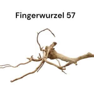 WhatsApp Image 2024-09-11 at 15.02.32.jpeg