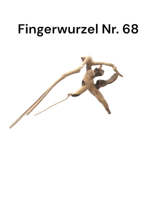 WhatsApp Image 2024-09-09 at 14.26.51.jpeg