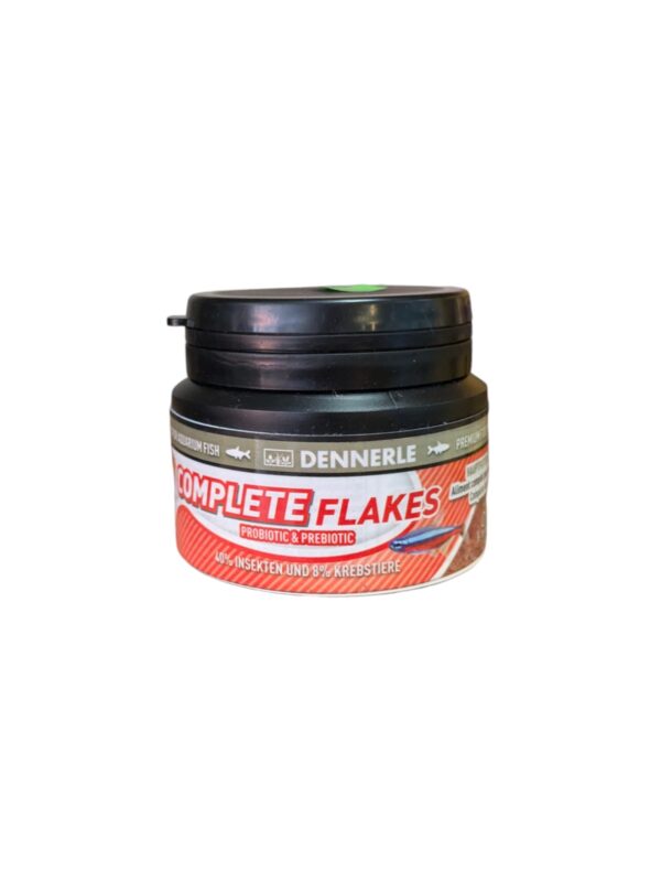 WhatsApp Image 2024-08-07 at 14.50.15.jpeg