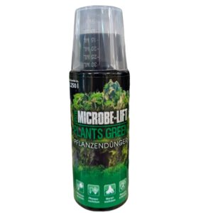 WhatsApp Image 2024-11-07 at 11.32.44.jpeg