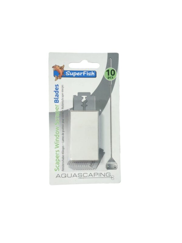 WhatsApp Image 2024-09-18 at 14.59.00.jpeg