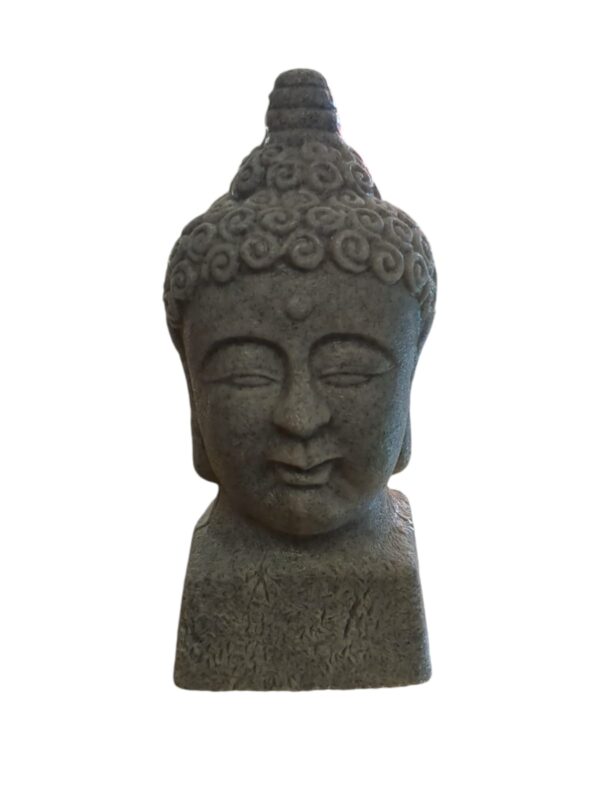 WhatsApp Image 2024-09-18 at 15.24.39.jpeg