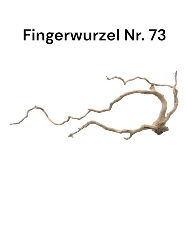 WhatsApp Image 2024-09-09 at 14.44.38.jpeg