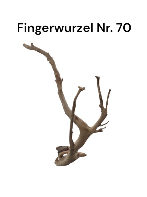 WhatsApp Image 2024-09-09 at 14.49.18.jpeg