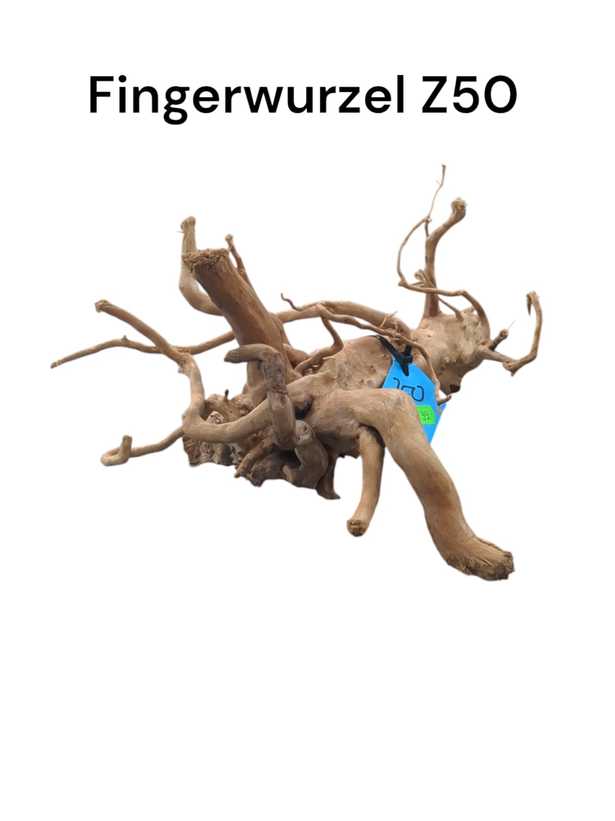 WhatsApp Image 2024-09-10 at 13.19.19.jpeg