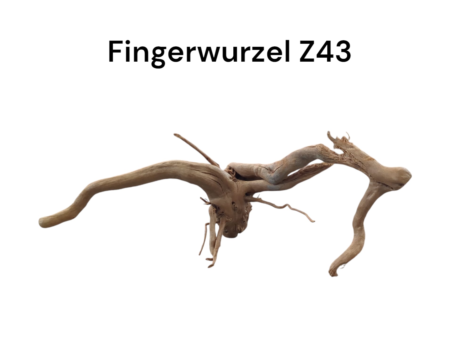 WhatsApp Image 2024-09-11 at 12.59.15.jpeg