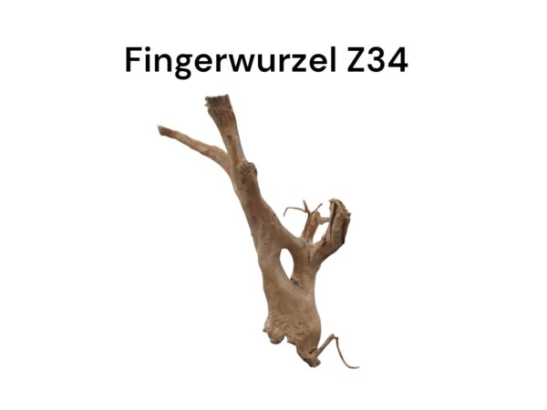 WhatsApp Image 2024-09-11 at 13.20.13.jpeg