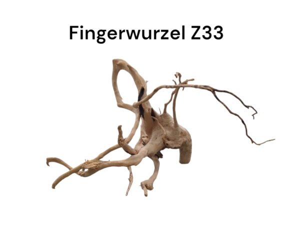 WhatsApp Image 2024-09-11 at 13.21.48.jpeg