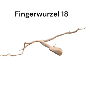 WhatsApp Image 2024-09-11 at 14.15.48.jpeg