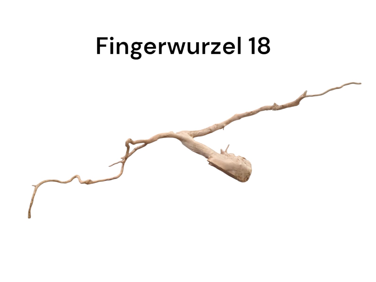 WhatsApp Image 2024-09-11 at 14.15.48.jpeg