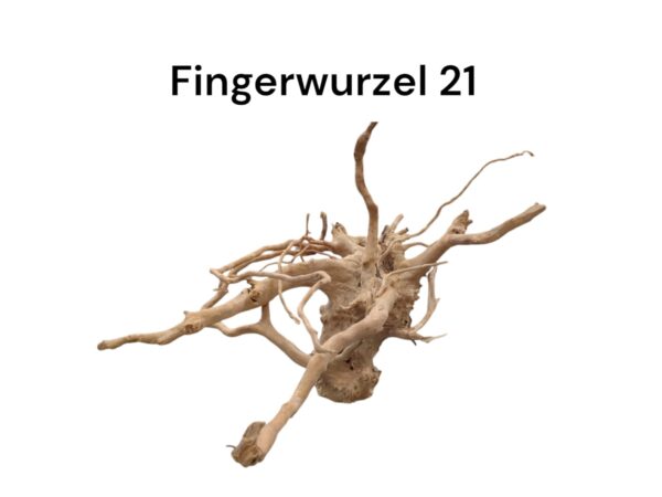 WhatsApp Image 2024-09-11 at 14.17.24.jpeg