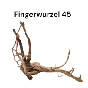 WhatsApp Image 2024-09-11 at 14.34.36(1).jpeg