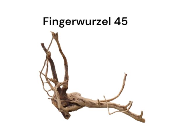 WhatsApp Image 2024-09-11 at 14.34.36(1).jpeg