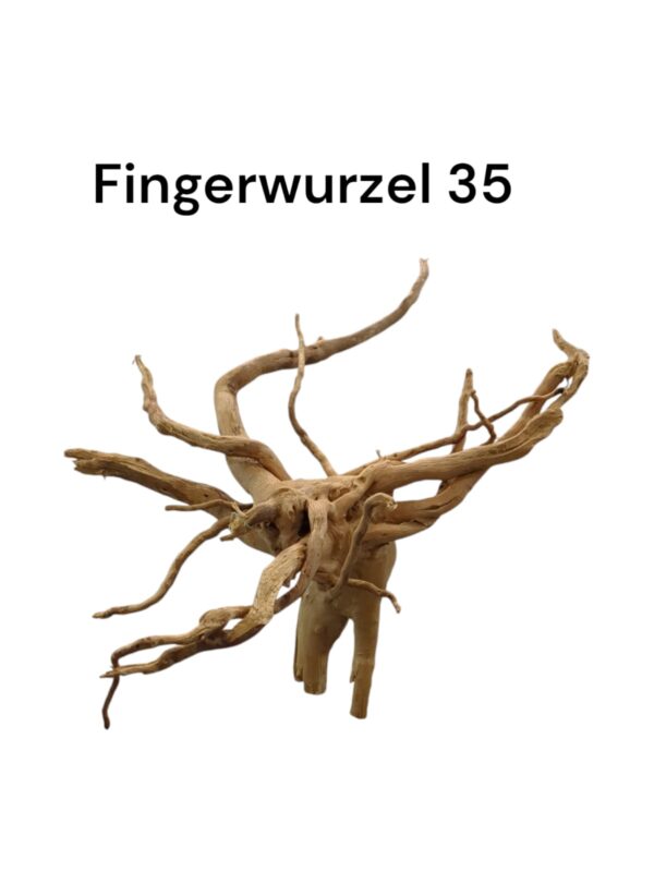 WhatsApp Image 2024-09-12 at 15.08.01.jpeg