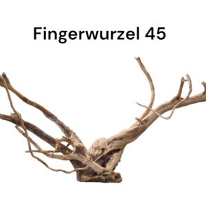 WhatsApp Image 2024-09-11 at 14.35.08.jpeg