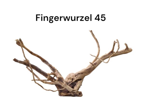 WhatsApp Image 2024-09-11 at 14.35.08.jpeg