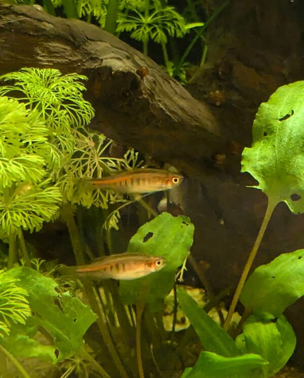 WhatsApp Image 2024-09-02 at 13.27.53.jpeg