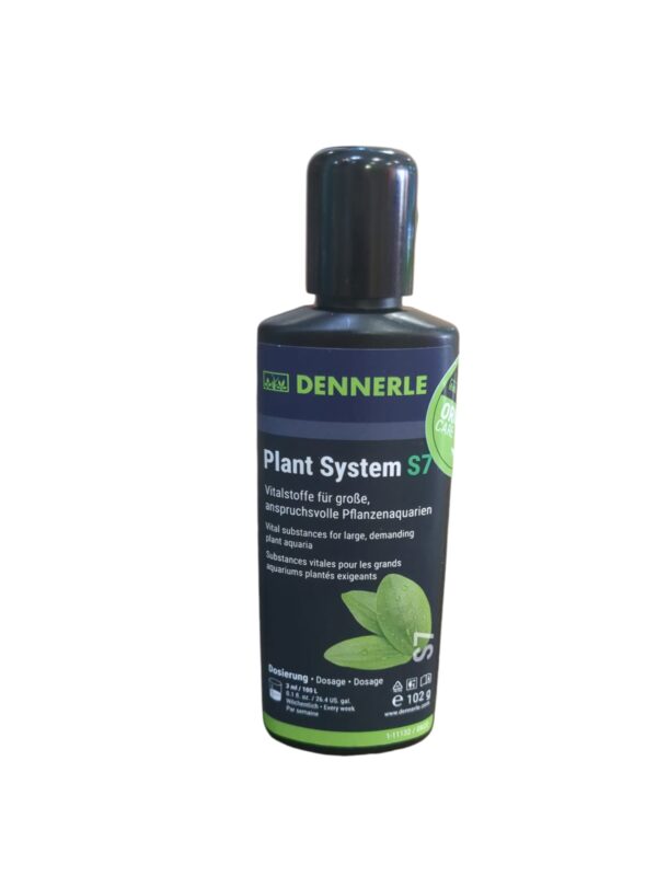 WhatsApp Image 2024-08-29 at 11.37.33.jpeg