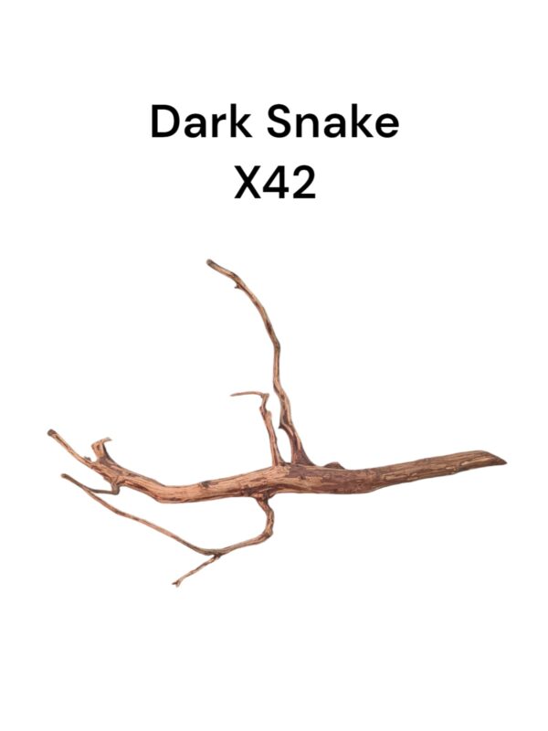 WhatsApp Image 2024-08-29 at 12.59.26.jpeg