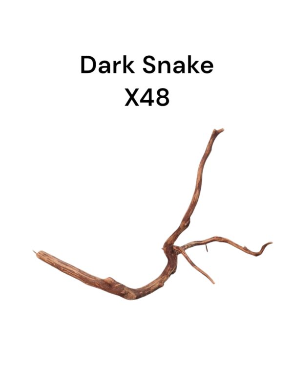 WhatsApp Image 2024-08-29 at 13.11.26.jpeg