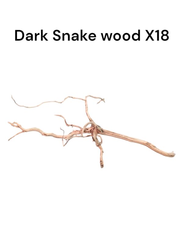 WhatsApp Image 2024-06-14 at 17.09.55(3).jpeg