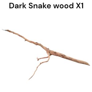 WhatsApp Image 2024-06-14 at 17.09.52(2).jpeg