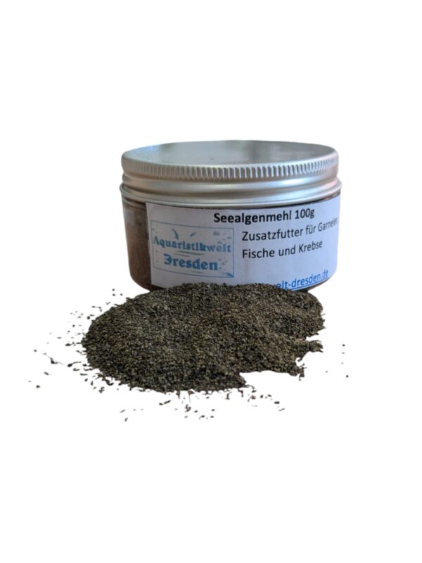 WhatsApp Image 2024-08-07 at 14.52.04.jpeg