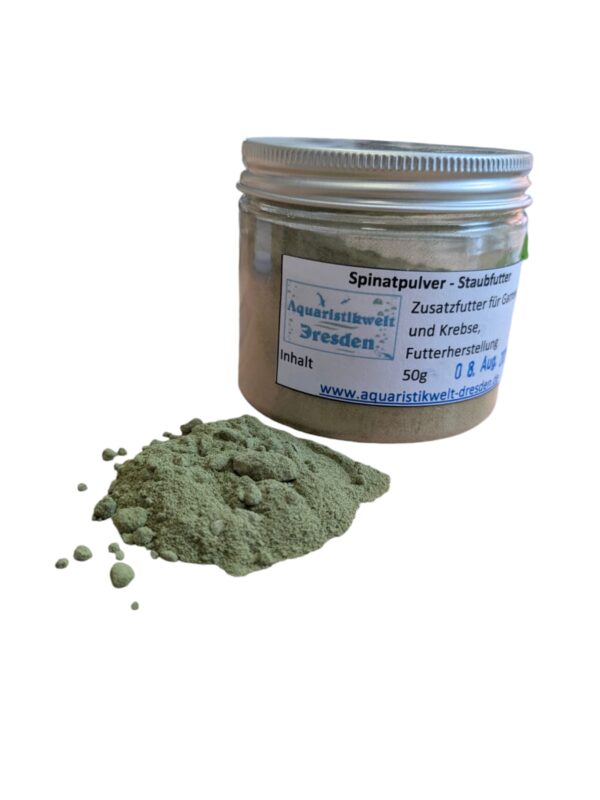 WhatsApp Image 2024-08-07 at 15.54.21.jpeg