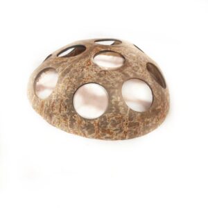 kokosnuss mit löchern.jpg