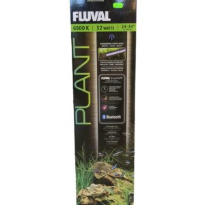 WhatsApp Image 2024-08-05 at 12.51.37.jpeg