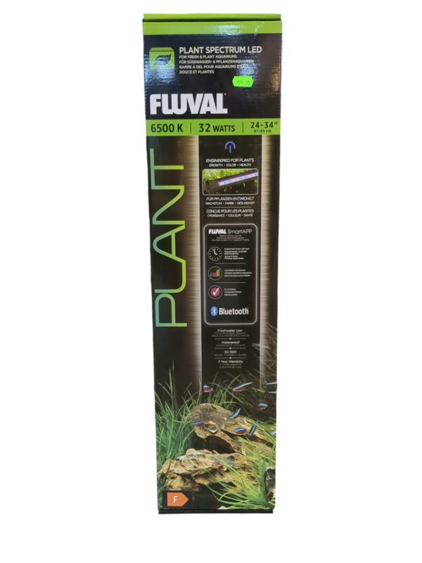 WhatsApp Image 2024-08-05 at 12.51.37.jpeg