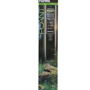 WhatsApp Image 2024-08-05 at 12.52.57.jpeg