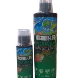 WhatsApp Image 2024-06-17 at 12.58.41.jpeg