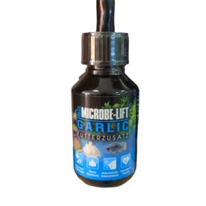 WhatsApp Image 2024-06-17 at 12.53.37.jpeg