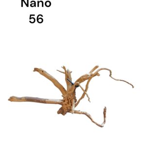 Nano-Fingerwurzel-56.jpg