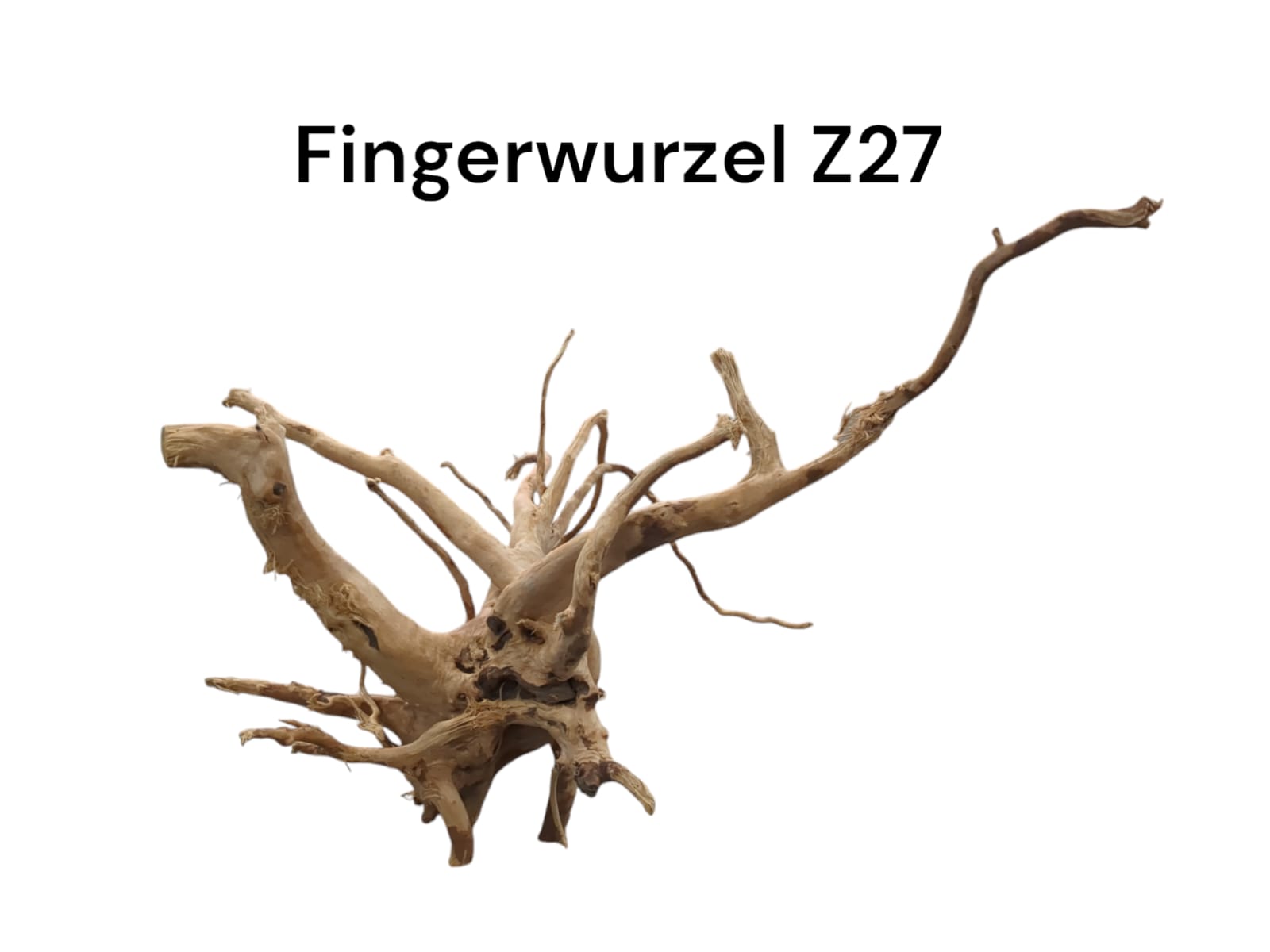 WhatsApp Image 2024-09-11 at 13.51.28.jpeg