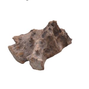 WhatsApp Image 2024-12-10 at 11.29.09.jpeg