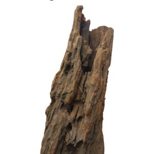 WhatsApp Image 2024-12-10 at 12.49.46(1).jpeg